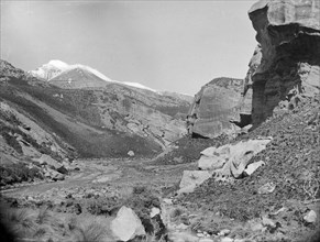 Gorge of Thomas and Porter Rivers, West Coast Road, c1880s. Creator: Burton Brothers.