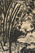 Bamboe (bamboo), 1920-1930. Creator: Johannes ten Klooster.