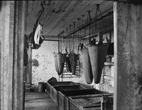 In the refining room filtering sea elephant oil, c1895. Creator: Unknown.