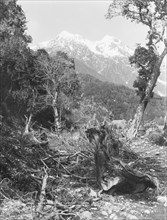 Near accommodation house, Otira, West Coast Road, c.1880. Creator: Burton Brothers.