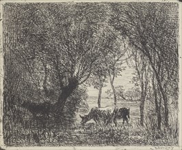 Cows in woods, 1862. Creator: Charles Francois Daubigny.
