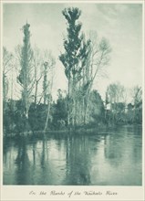 On the banks of the Waikato River. From the album: Camera Pictures of New Zealand, 1920s. Creator: Harry Moult.