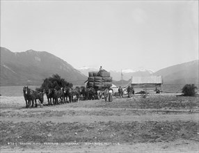 Loading wool, Pembroke, Lake Wanaka,  New Zealand. Creator: Muir & Moodie.