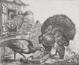 Four turkeys,  1615-1653. Creator: Simon de Vlieger.