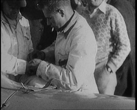 Malcolm Campbell with Blue Bird/Bluebird in South Africa, 1929. Creator: British Pathe Ltd.