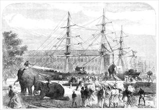Embarking elephants at Bombay for the Abyssinian Expedition, 1868. Creator: C. R..