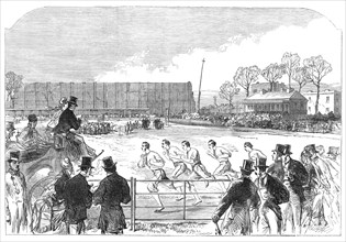 Oxford and Cambridge athletic sports at West Brompton: the one-mile race, 1869. Creator: Unknown.
