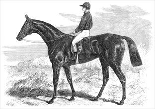 Pretender, winner of the Derby, 1869. Creator: Unknown.