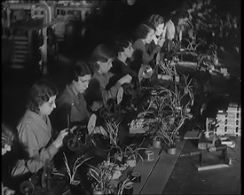 Female Civilians Working on a Factory Production Line, 1931. Creator: British Pathe Ltd.