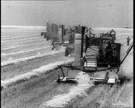 A Line of Tractors Harvesting Grain, 1932. Creator: British Pathe Ltd.