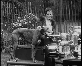 The Greyhound 'Mick the Miller' and his Trophies, 1930s. Creator: British Pathe Ltd.