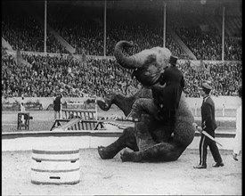 An Elephant Sitting on its Hind Legs as a Man Climbs up It, 1924. Creator: British Pathe Ltd.