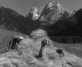 Women Gathering Hay, 1943-1944. Creator: British Pathe Ltd.