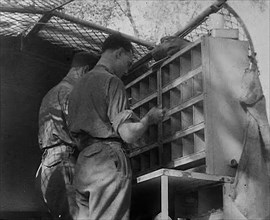 Allied Soldiers’ Letters Being Sorted, 1943-1944. Creator: British Pathe Ltd.