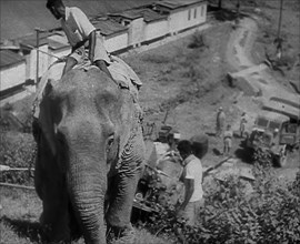 An Elephant Pulling Supplies in Burma, 1943. Creator: British Pathe Ltd.