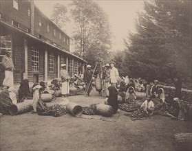 Ceylon. Weighing Tea Leaves. British planter with tea estate labourers, 1900s. Creator: Anonymous ().