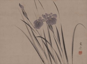 Irises sway in the wind, . Creator: Kansai; Mori (1814-1894).