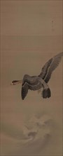 A goose in flight, 1900. Creator: Seitei (Shotei); Watanabe (1851-1918).