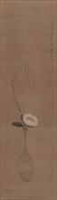 Unusual representation of a white magnolia and a willow branch, 1834. Creator: Chikuden; Tanomura (1777-1835).