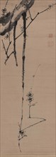 Branches of flowering plum, . Creator: Jakuchu; Ito (1716-1800).