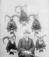 Walter Winans [with Mt. Sheep head trophies], between c1910 and c1915. Creator: Bain News Service.