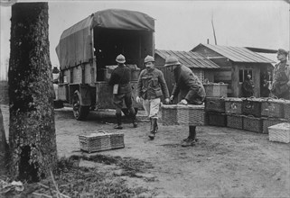 Belgian Army pigeons, between c1915 and c1920. Creator: Bain News Service.