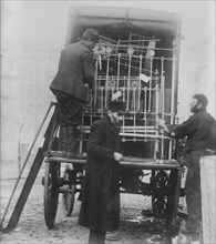 Eviction, N.Y., between c1915 and c1920. Creator: Bain News Service.