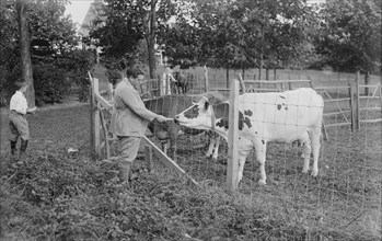 J. McCormack, between c1915 and c1920. Creator: Bain News Service.