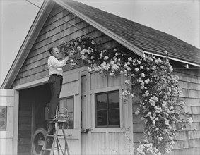 Murray, between c1915 and c1920. Creator: Bain News Service.