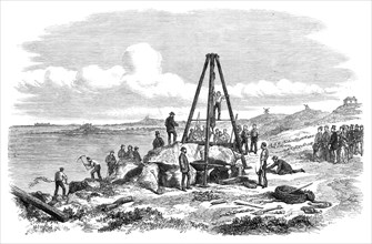 Raising the west capstone of Le Trepied Cromlech, Guernsey, 1870. Creator: Unknown.