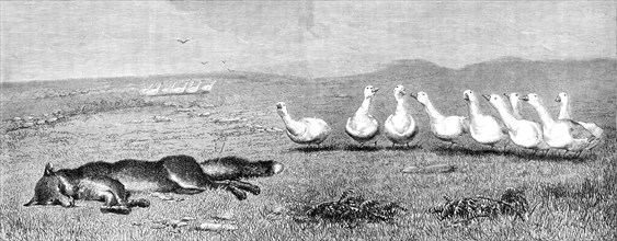 A Game of Fox and Geese, by B. Riviere, 1870. Creator: Unknown.