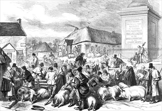 Sketches from Ireland: the Pig Fair at Trim, County Meath, 1870. Creator: Unknown.