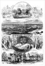 Sketches in Epping Forest, 1871. Creator: Unknown.