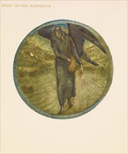 The Flower Book - Most Bitter Moonseed, 1905. Creator: Sir Edward Coley Burne-Jones.