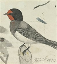 Barn Swallow, 1830. Creator: Ferdinand von Wright.