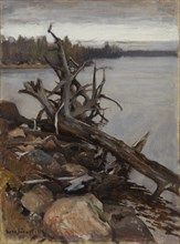 Dead Pine in the Water, 1898. Creator: Eero Jarnefelt.