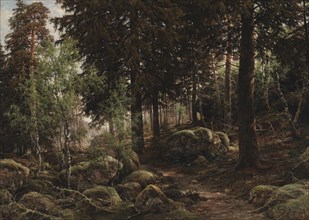 Forest Interior, 1882. Creator: Berndt Lindholm.