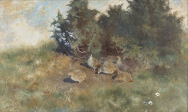 Partridges, 1922. Creator: Bruno Liljefors.