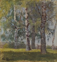 Birches, 1884. Creator: Eero Jarnefelt.