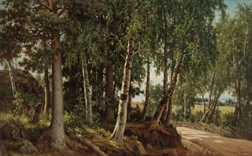 Forest Landscape from Haminalahti, 1880. Creator: Ferdinand von Wright.