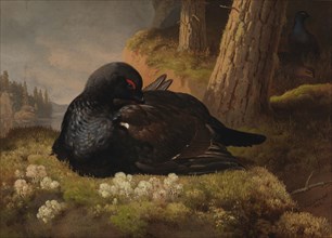 Black Grouse, 1864. Creator: Ferdinand von Wright.