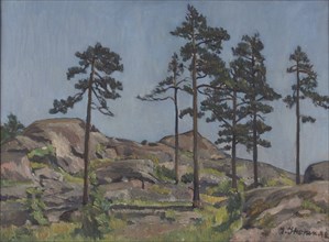 Pine trees on rocky ground, 1942. Creator: Ilmari Ikonen.