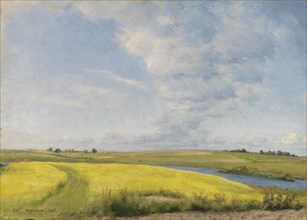 Mustard field, 1895. Creator: Julius Paulsen.