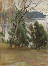 Sallow in Autumn, 1907. Creator: Pekka Halonen.