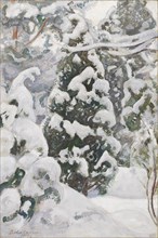 Juniper Tree in Snow, 1917. Creator: Pekka Halonen.