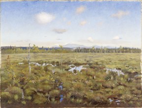 Landscape from Lapland, 1892. Creator: Torsten Wasastjerna.