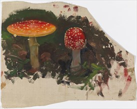 Two Fly Agarics, sketch for the painting Fairy Tale Princess, c1895-1896. Creator: Torsten Wasastjerna.