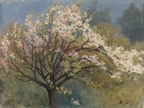 Fruit Tree in Blossom, c1900s. Creator: Arvid Jarnefelt.