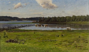 Shore Landscape from Aland, 1888. Creator: Elias Muukka.