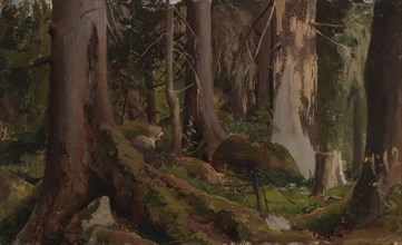 Forest, study, 1872. Creator: Fanny Churberg.